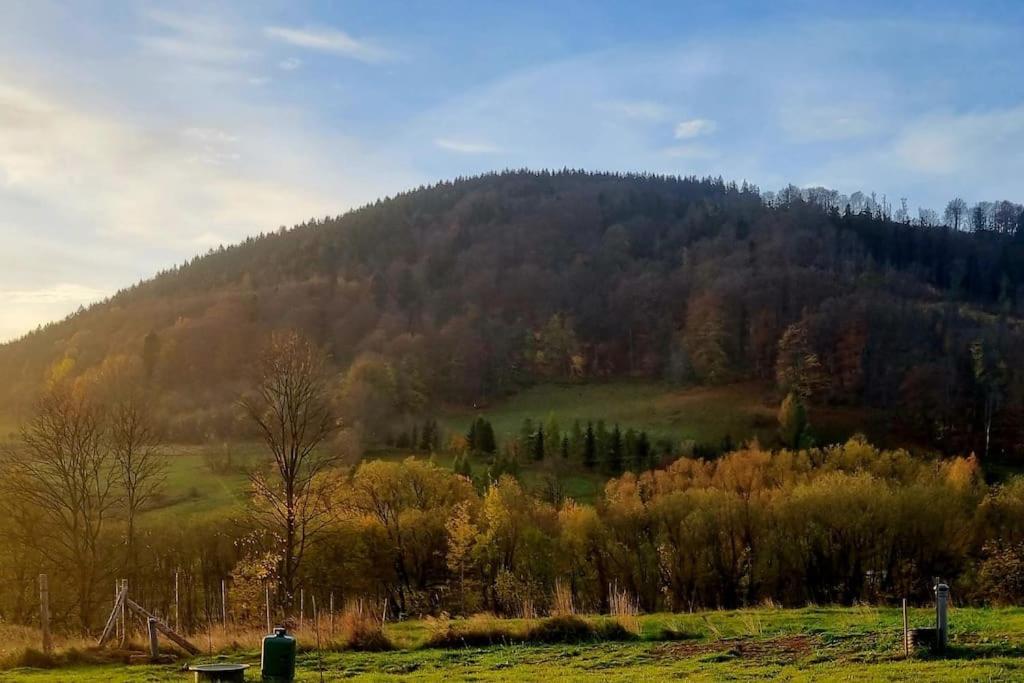Domek Pod Ostoja Gory Sowie Lomnica  Exterior foto